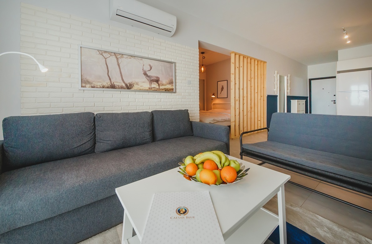 Caesar Blue – studio Semi 1 – strefa spania (9)